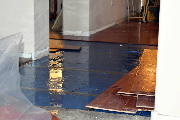 Professional Burst Pipe Cleanup technician working in Hartsel, CO